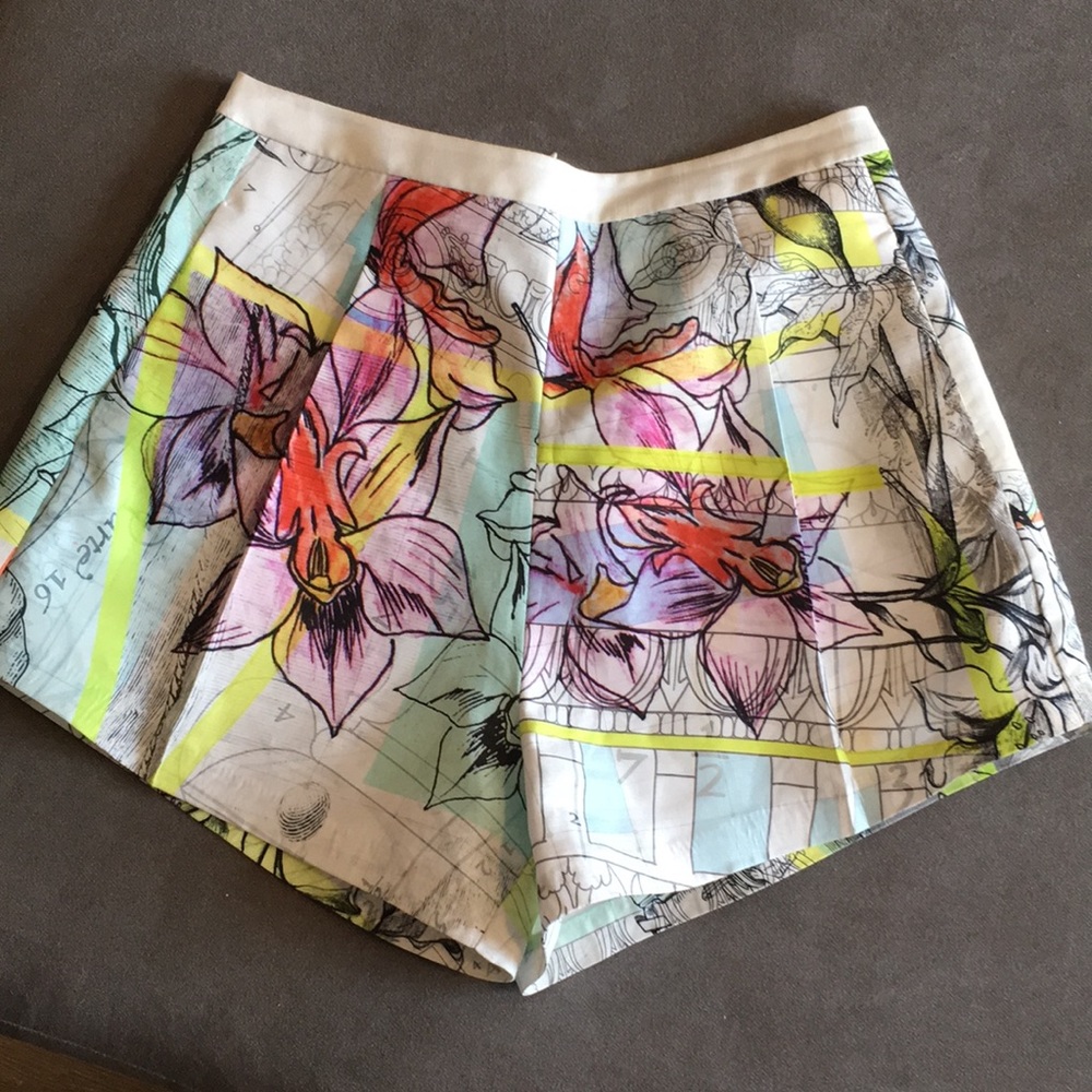 Clover Canyon shorts